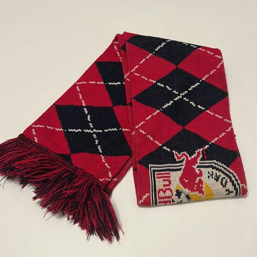NY Red Bulls winter scarf